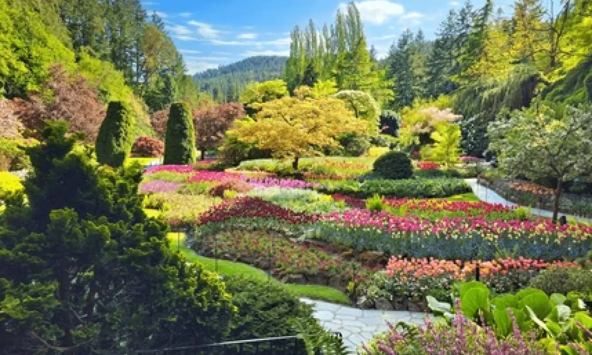 Beautiful Canada
